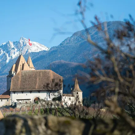 Agence web à Aigle