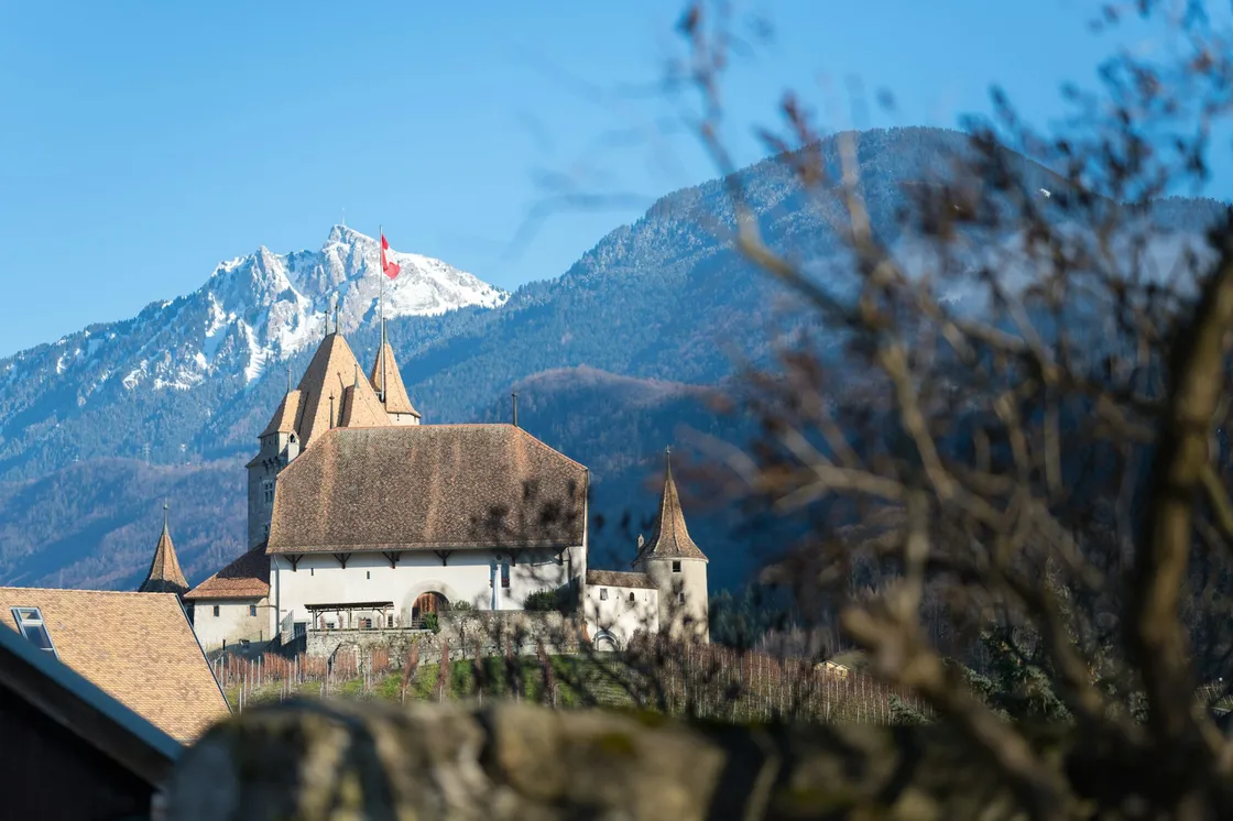 Agence web à Aigle