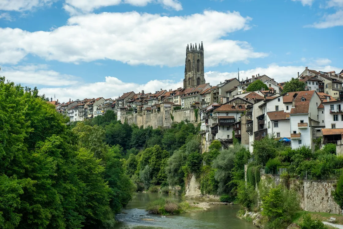 Agence web à Fribourg